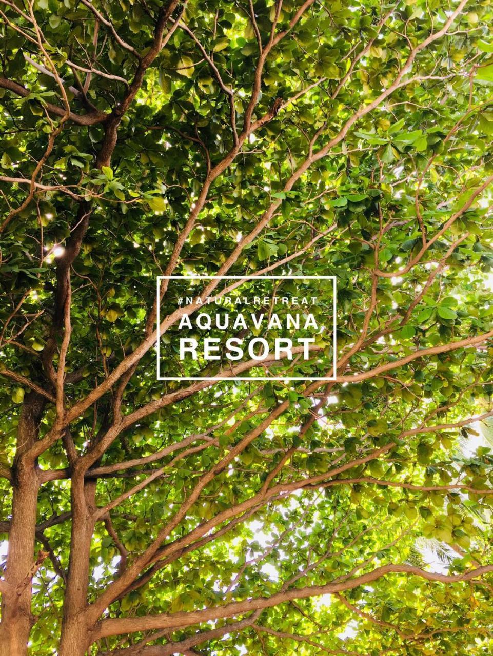 Aquavana Haad Rin Resort Екстер'єр фото